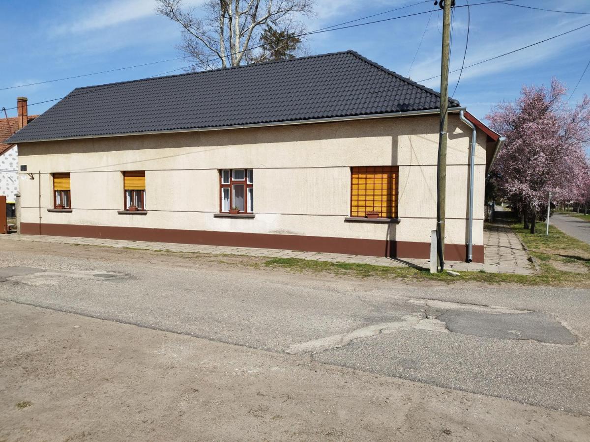 Tartos Szegfu Vendeghaz, Maganszallas Tazlar 외부 사진