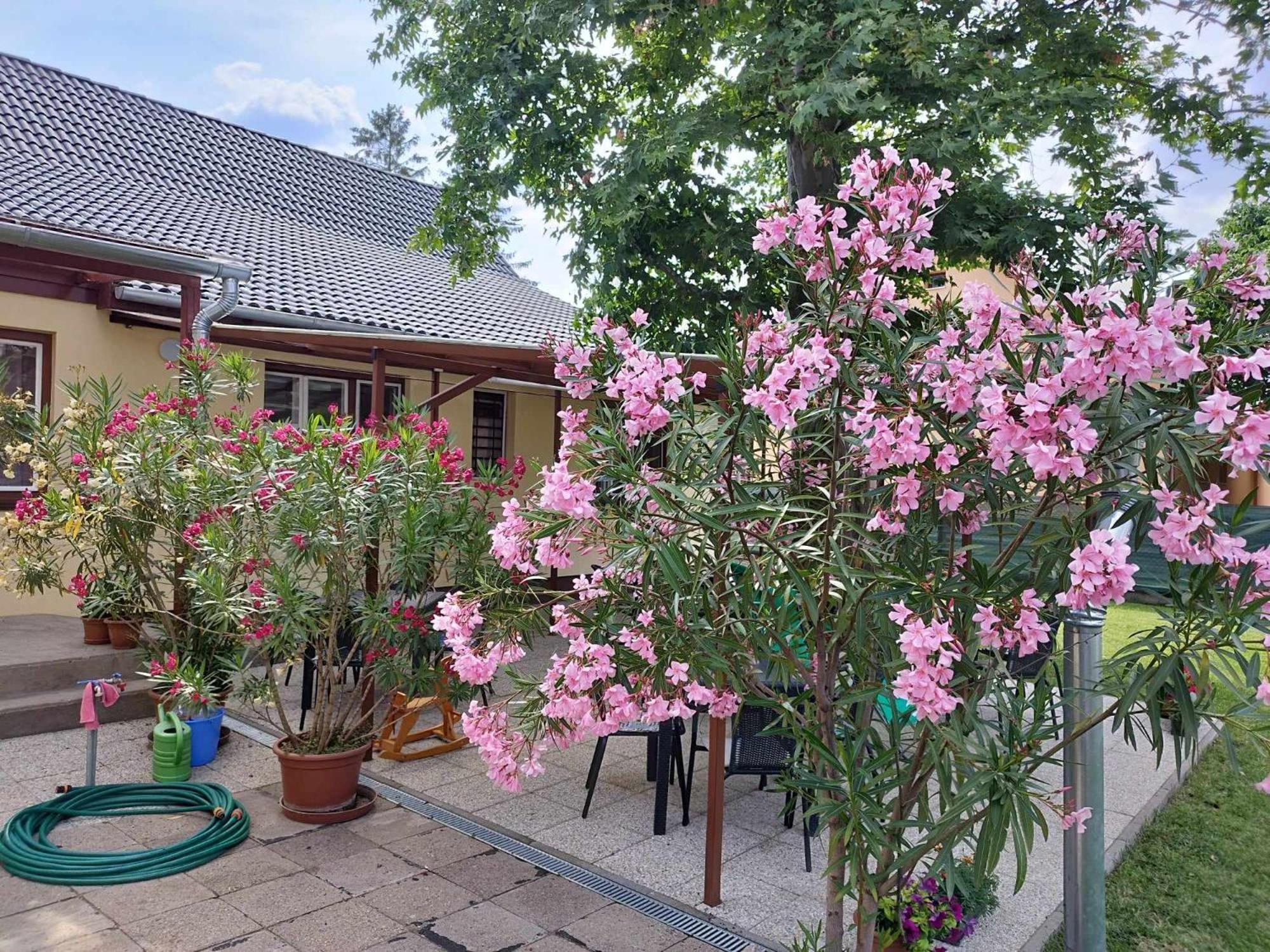 Tartos Szegfu Vendeghaz, Maganszallas Tazlar 외부 사진