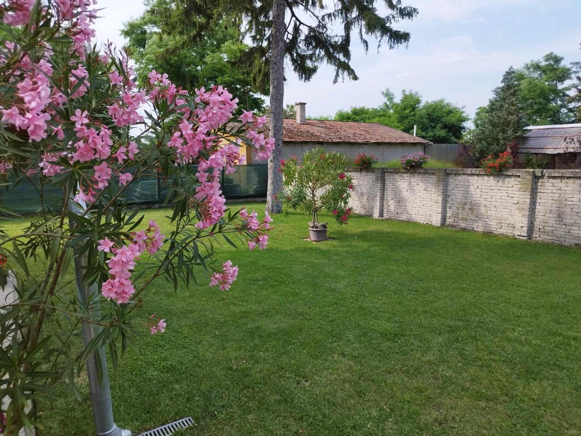 Tartos Szegfu Vendeghaz, Maganszallas Tazlar 외부 사진